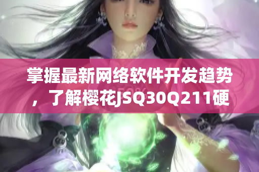 掌握最新网络软件开发趋势，了解樱花JSQ30Q211硬件与软件技术
