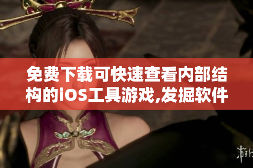 免费下载可快速查看内部结构的iOS工具游戏,发掘软件技术的奥秘