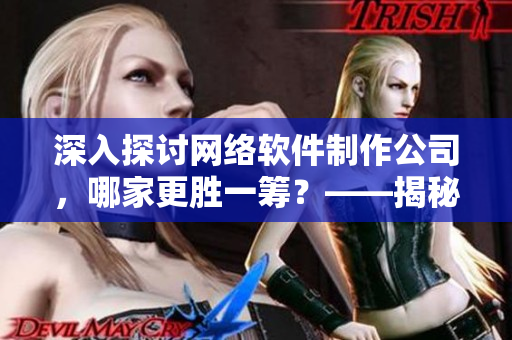 深入探讨网络软件制作公司，哪家更胜一筹？——揭秘最佳选手