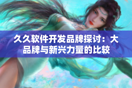 久久软件开发品牌探讨：大品牌与新兴力量的比较