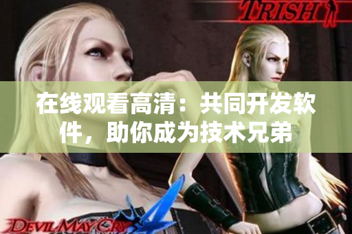 在线观看高清：共同开发软件，助你成为技术兄弟