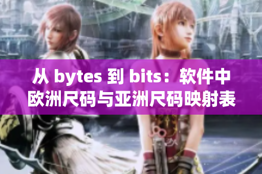 从 bytes 到 bits：软件中欧洲尺码与亚洲尺码映射表的对比分析
