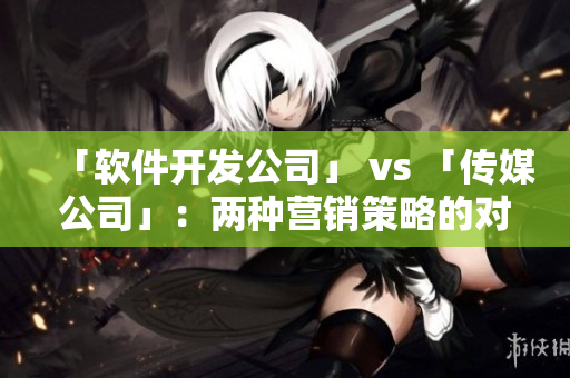 「软件开发公司」 vs 「传媒公司」：两种营销策略的对比
