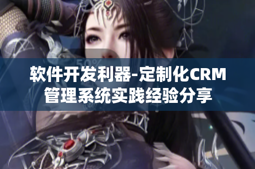 软件开发利器-定制化CRM管理系统实践经验分享