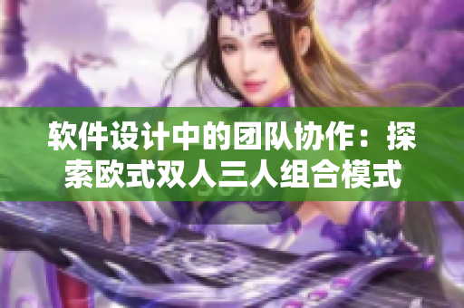 软件设计中的团队协作：探索欧式双人三人组合模式