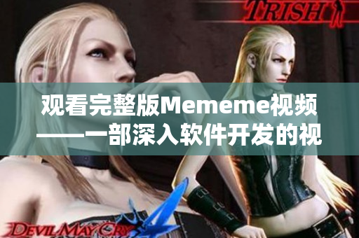 观看完整版Mememe视频——一部深入软件开发的视角分析故事。