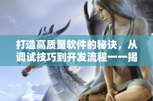 打造高质量软件的秘诀，从调试技巧到开发流程一一揭秘