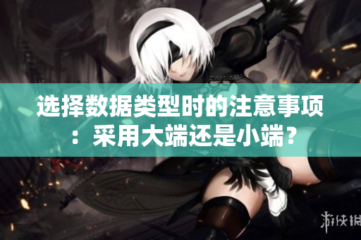 选择数据类型时的注意事项：采用大端还是小端？