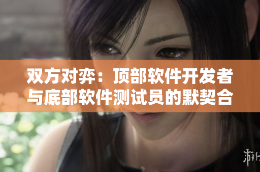双方对弈：顶部软件开发者与底部软件测试员的默契合作