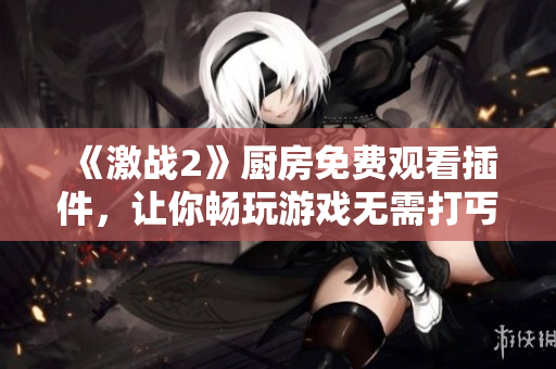 《激战2》厨房免费观看插件，让你畅玩游戏无需打丐赛