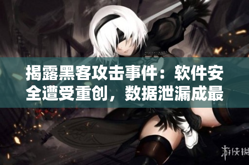 揭露黑客攻击事件：软件安全遭受重创，数据泄漏成最大风险