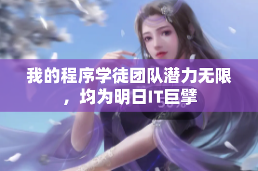 我的程序学徒团队潜力无限，均为明日IT巨擘