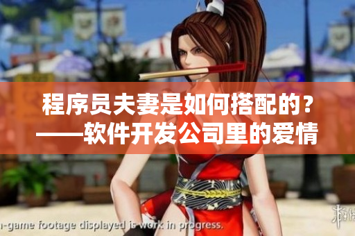 程序员夫妻是如何搭配的？——软件开发公司里的爱情故事