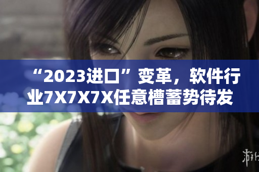 “2023进口”变革，软件行业7X7X7X任意槽蓄势待发