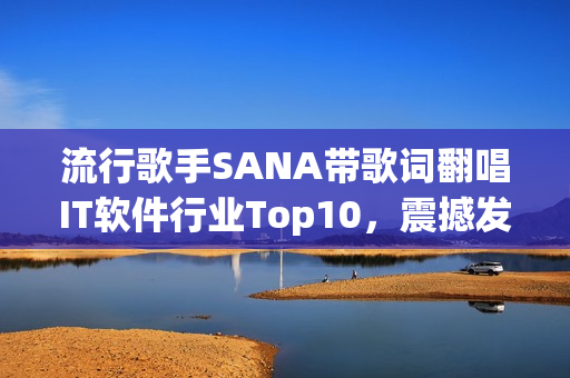 流行歌手SANA带歌词翻唱IT软件行业Top10，震撼发布！