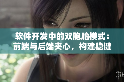 软件开发中的双胞胎模式：前端与后端夹心，构建稳健应用