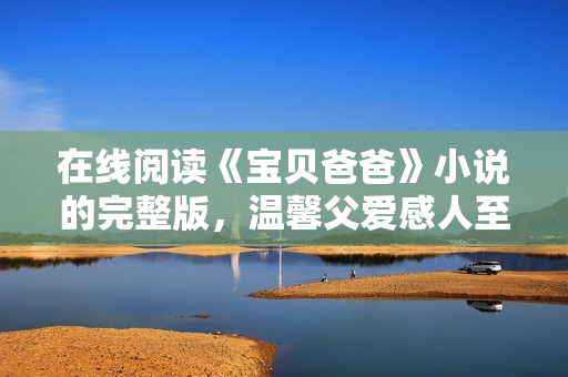 在线阅读《宝贝爸爸》小说的完整版，温馨父爱感人至深