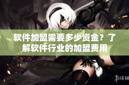 软件加盟需要多少资金？了解软件行业的加盟费用