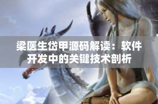 梁医生岱甲源码解读：软件开发中的关键技术剖析