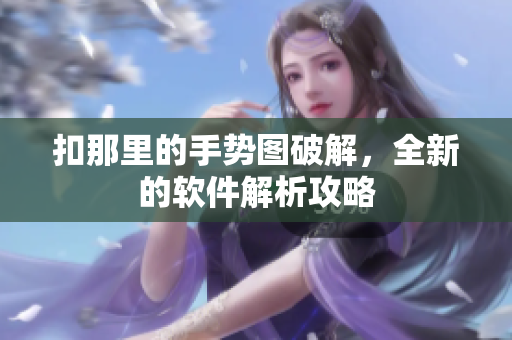 扣那里的手势图破解，全新的软件解析攻略　
