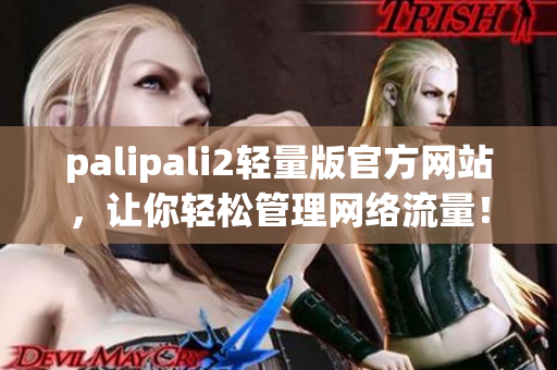 palipali2轻量版官方网站，让你轻松管理网络流量！