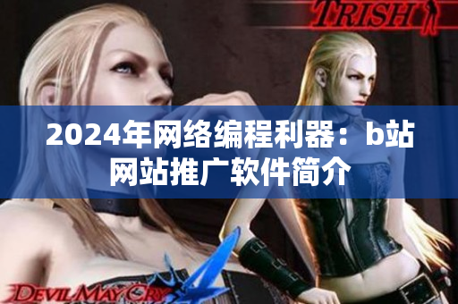 2024年网络编程利器：b站网站推广软件简介