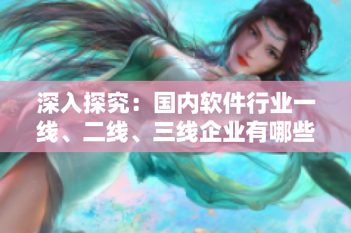 深入探究：国内软件行业一线、二线、三线企业有哪些？