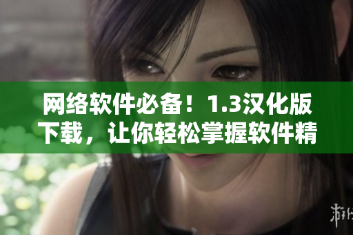 网络软件必备！1.3汉化版下载，让你轻松掌握软件精髓！