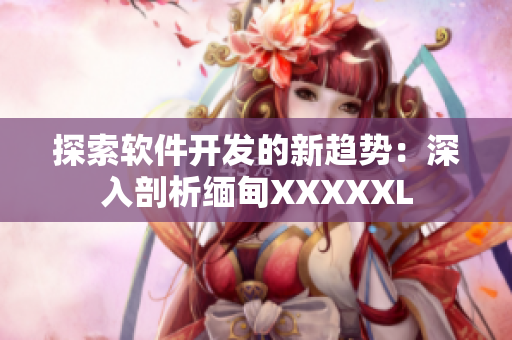 探索软件开发的新趋势：深入剖析缅甸XXXXXL