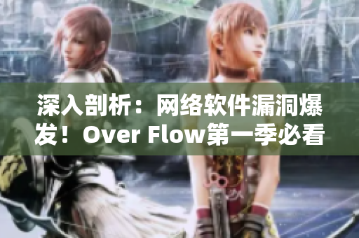深入剖析：网络软件漏洞爆发！Over Flow第一季必看！