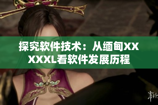 探究软件技术：从缅甸XXXXXL看软件发展历程
