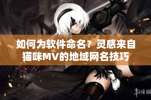 如何为软件命名？灵感来自猫咪MV的地域网名技巧