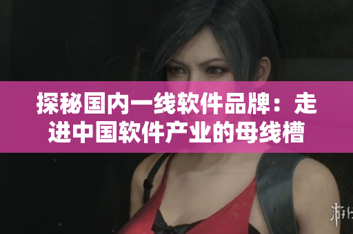 探秘国内一线软件品牌：走进中国软件产业的母线槽