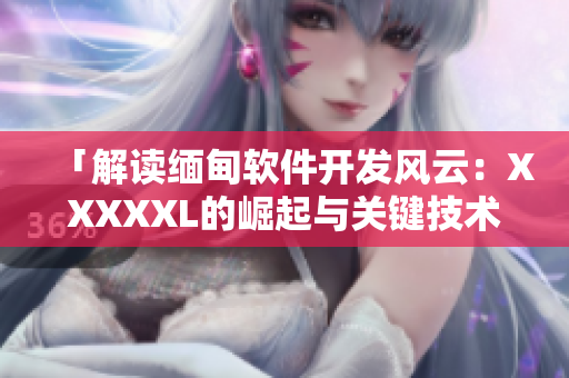 「解读缅甸软件开发风云：XXXXXL的崛起与关键技术剖析」