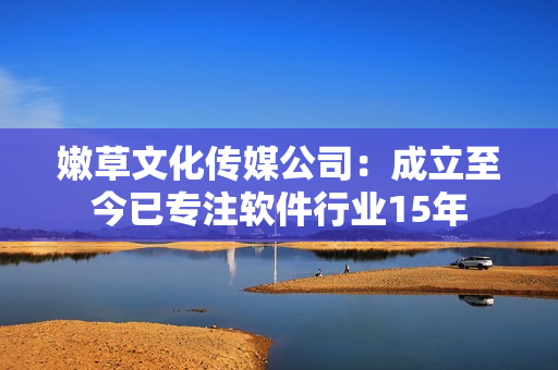 嫩草文化传媒公司：成立至今已专注软件行业15年