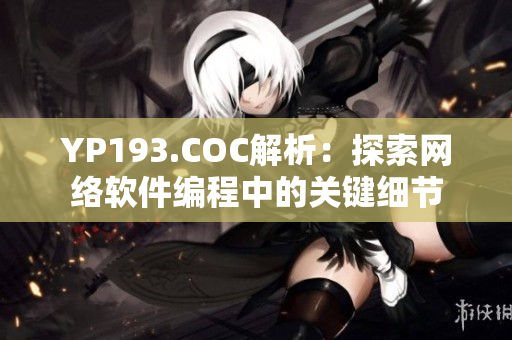 YP193.COC解析：探索网络软件编程中的关键细节