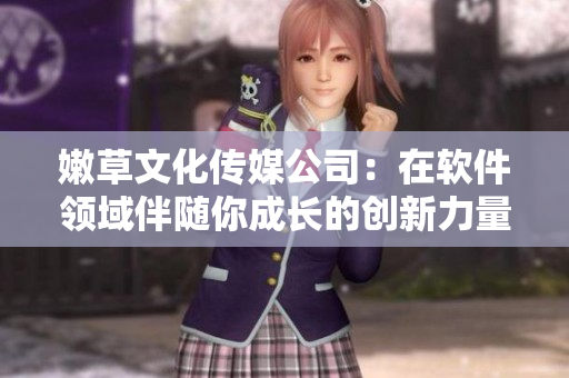 嫩草文化传媒公司：在软件领域伴随你成长的创新力量