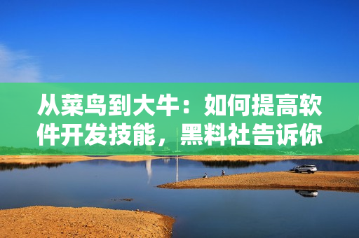 从菜鸟到大牛：如何提高软件开发技能，黑料社告诉你！