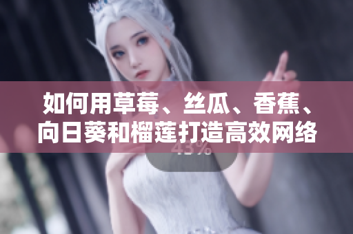 如何用草莓、丝瓜、香蕉、向日葵和榴莲打造高效网络软件？——一份详细指南