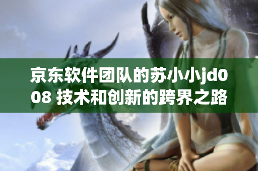 京东软件团队的苏小小jd008 技术和创新的跨界之路