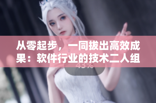 从零起步，一同拔出高效成果：软件行业的技术二人组合