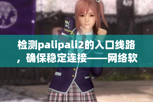 检测palipali2的入口线路，确保稳定连接——网络软件编辑