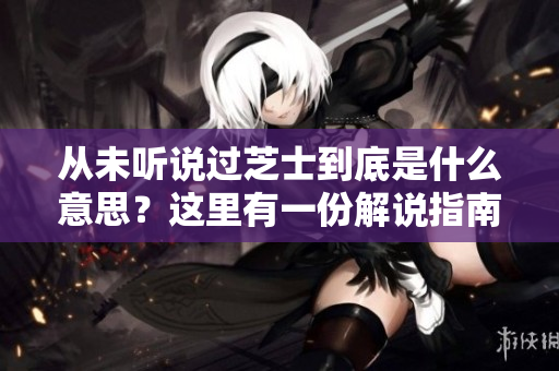 从未听说过芝士到底是什么意思？这里有一份解说指南。