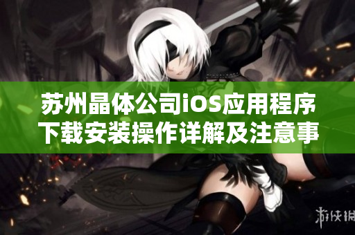 苏州晶体公司iOS应用程序下载安装操作详解及注意事项