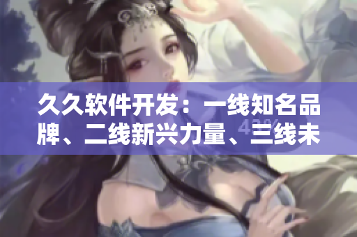 久久软件开发：一线知名品牌、二线新兴力量、三线未来潜力