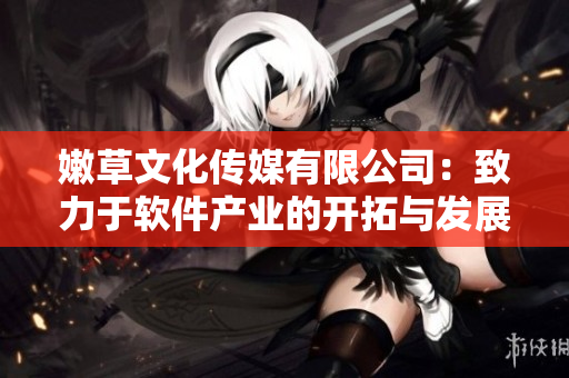 嫩草文化传媒有限公司：致力于软件产业的开拓与发展