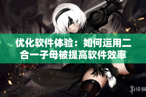 优化软件体验：如何运用二合一子母被提高软件效率