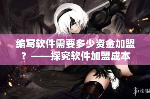 编写软件需要多少资金加盟？——探究软件加盟成本