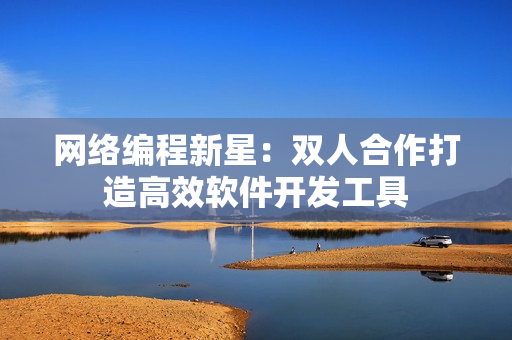 网络编程新星：双人合作打造高效软件开发工具