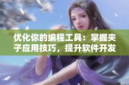 优化你的编程工具：掌握夹子应用技巧，提升软件开发效率